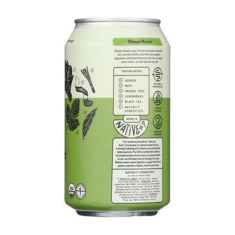 Better Booch, Ginger Boost Kombucha, 12 Oz (Case Of 12)